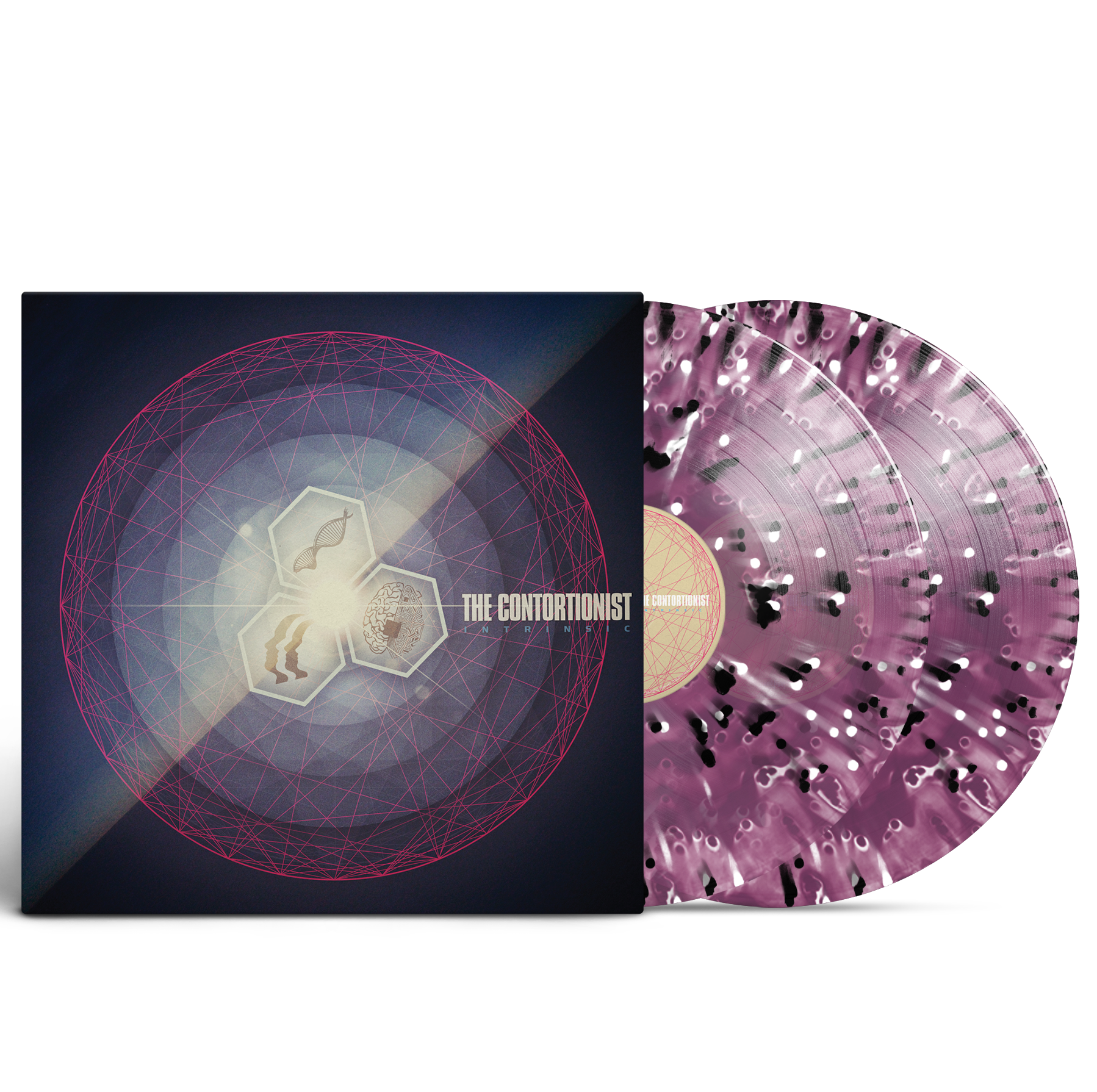 The Contortionist - Intrinsic Grape Ghost Splatter Vinyl