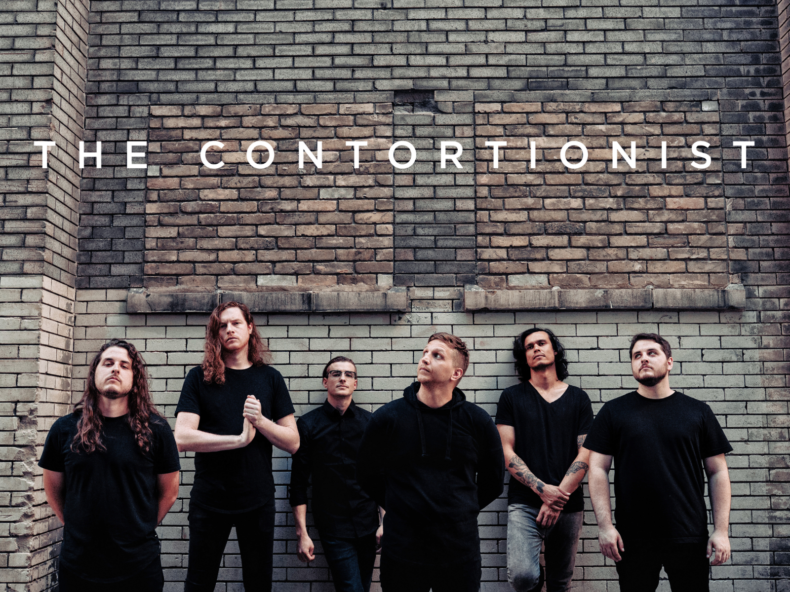 The Contortionist